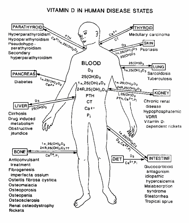 Where can you find lists of various human diseases?